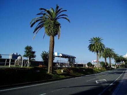 ホテルプラザ宮崎 写真