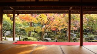◎ 京都紅葉スポット　「圓光寺」
