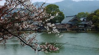 ◎ 春の嵐山観光　「大覚寺 （旧嵯峨御所）」 