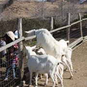 子どもたちの楽しい遊び場　どんぐり村