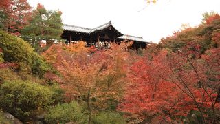 ◎ 京都屈指の紅葉の名所 「東福寺」