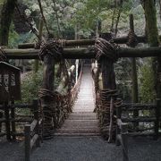 秘境の橋 (かずら橋 - 祖谷渓・徳島)