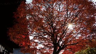 ▲ 縁結び・夫婦和合・商売繁盛の愛染さん 「愛染堂勝鬘院」