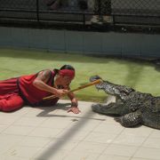 動物と近くでふれあえる、独特の動物園