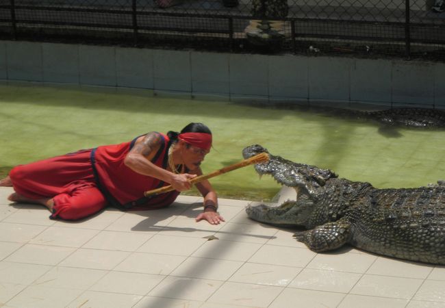 動物と近くでふれあえる、独特の動物園