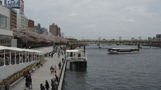 水上バス発着場も賑わう桜祭り、浅草が好き！の巻
