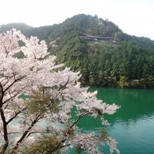 店前の桜が湖面に写って