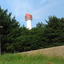 船の科学館展望台