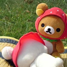 芝生もあります