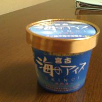 売店で売ってたアイス。意外にコクがあって美味しかった！