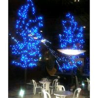 レストランから中庭撮影してます