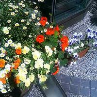 拡大版で朝食後撮影です