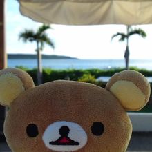 日よけがありました