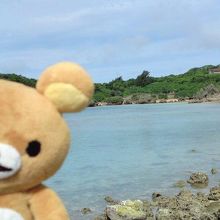 魚も肉眼で見れます。