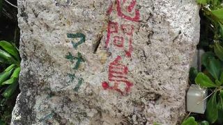 海岸に下りることが出来ました