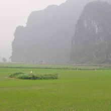 サイクリングで周辺の田園地帯。
