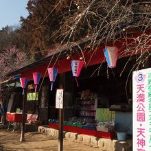 吉野梅郷が一望できる小高い山、天満公園の茶屋