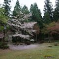 お庭が素晴らしい風雅の宿