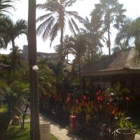 コテージはこんな感じです