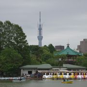 不忍池（しのばずいけ）から見た東京スカイツリー（撮影：２０１１年５月５日木曜日）、上野散策の巻