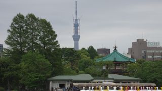 不忍池（しのばずいけ）から見た東京スカイツリー（撮影：２０１１年５月５日木曜日）、上野散策の巻