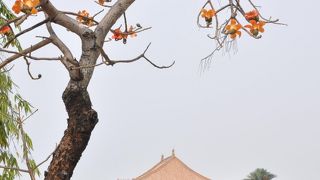 高雄市民の憩いの場所