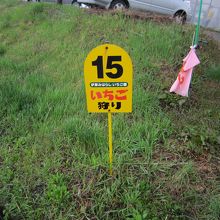 我々は１５番のハウス