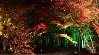 穴場的紅葉スポット