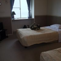 ベッドは小さめのタイプです。