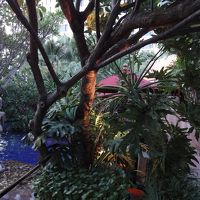 ホテルのプールはリゾート感満点