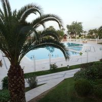 同じく、昼間のプール。