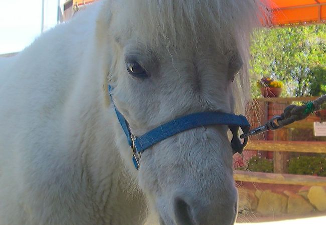 トップシーズンの動物公園！