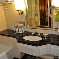 五つ星クラスのヒルトンで標準的なものです