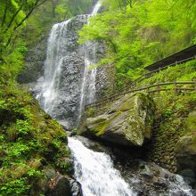 新緑の滝風景（2007年5月撮影）