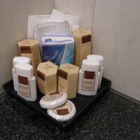 箱入りシャワーキャップと綿棒セットを除けば３つ星と変わらない