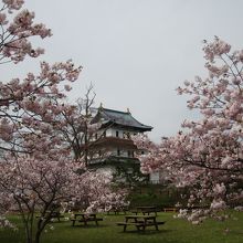 来てよかったとはここ松前城のこと。