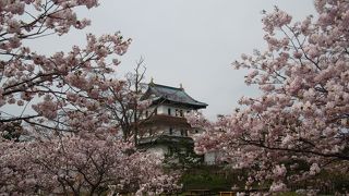 北海道のお城と言えば、松前城。そして桜が似合います。