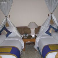 天蓋付きのベッド