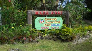 南国フルーツを味わう体験型ツアー