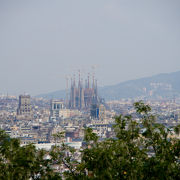 ここから眺めるバルセロナ市街地は街の概要を知るのにうってつけ