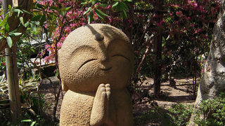 さすがの花の寺はお花がいっぱい！！