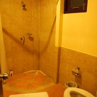 シャワーは固定式です