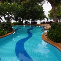 プールは大きくもなく狭くもなく