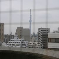 一応みえます。スカイツリー　最上階の１１階より