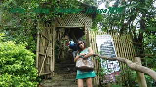 展望台あるけど動物園です・・・・（笑