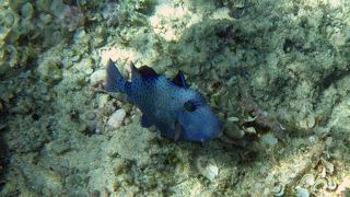 沖縄本島最高のスポット