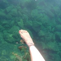 アドリア海にも出られます。ただしビーチではなくはしごで。