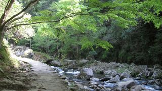 １年生の子連れにも楽しめました。