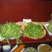 松花湖の山で採れた新鮮山菜