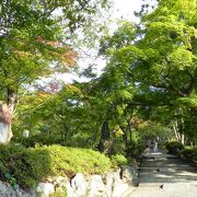 東行庵の花と餅*＾＾*